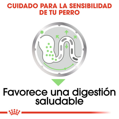 Royal Canin Digestive Care Paté 85 g Comida Húmeda para Perros ROYAL CANIN Mascotas-Ávila