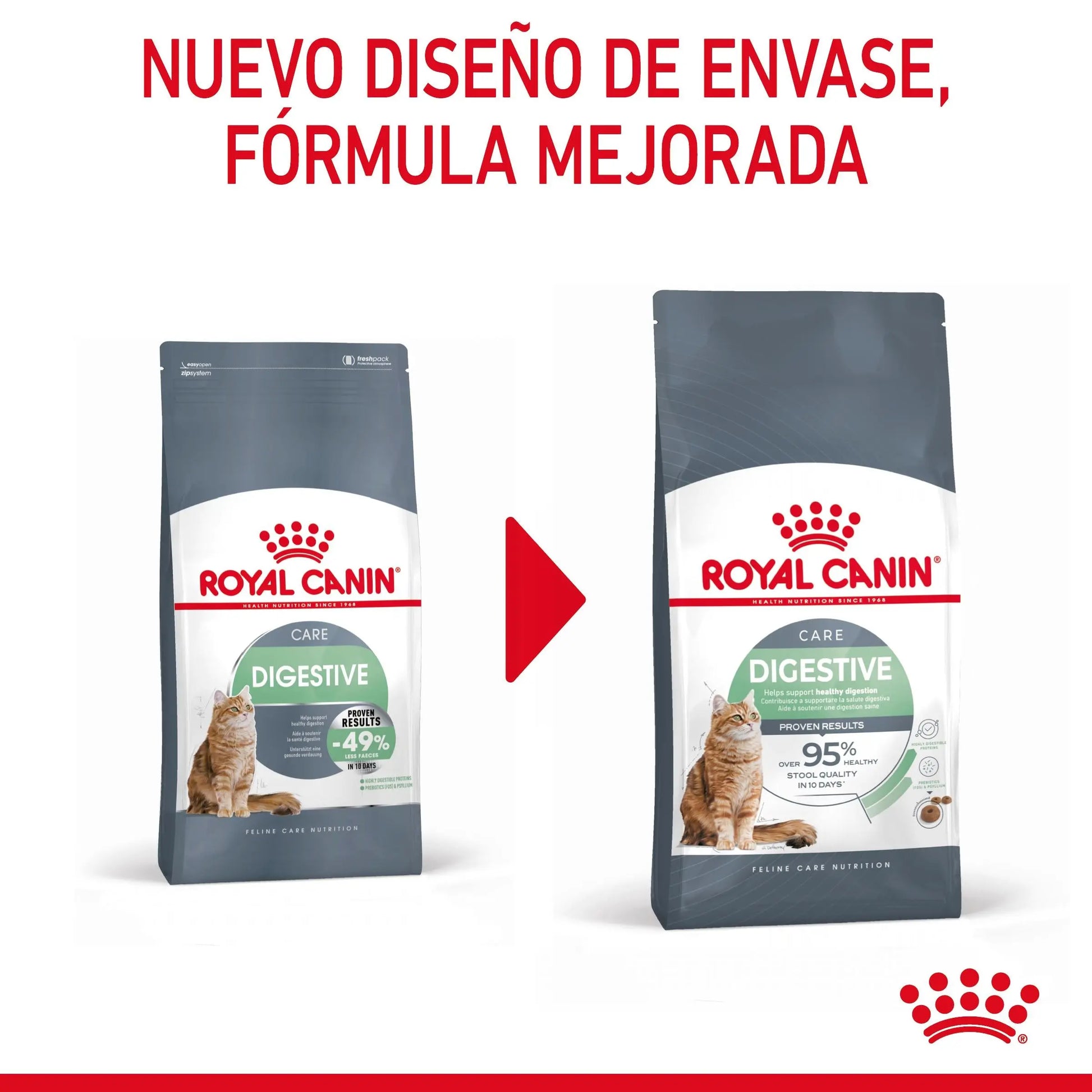Royal Canin Digestive Care Pienso para Gatos ROYAL CANIN Mascotas-Ávila