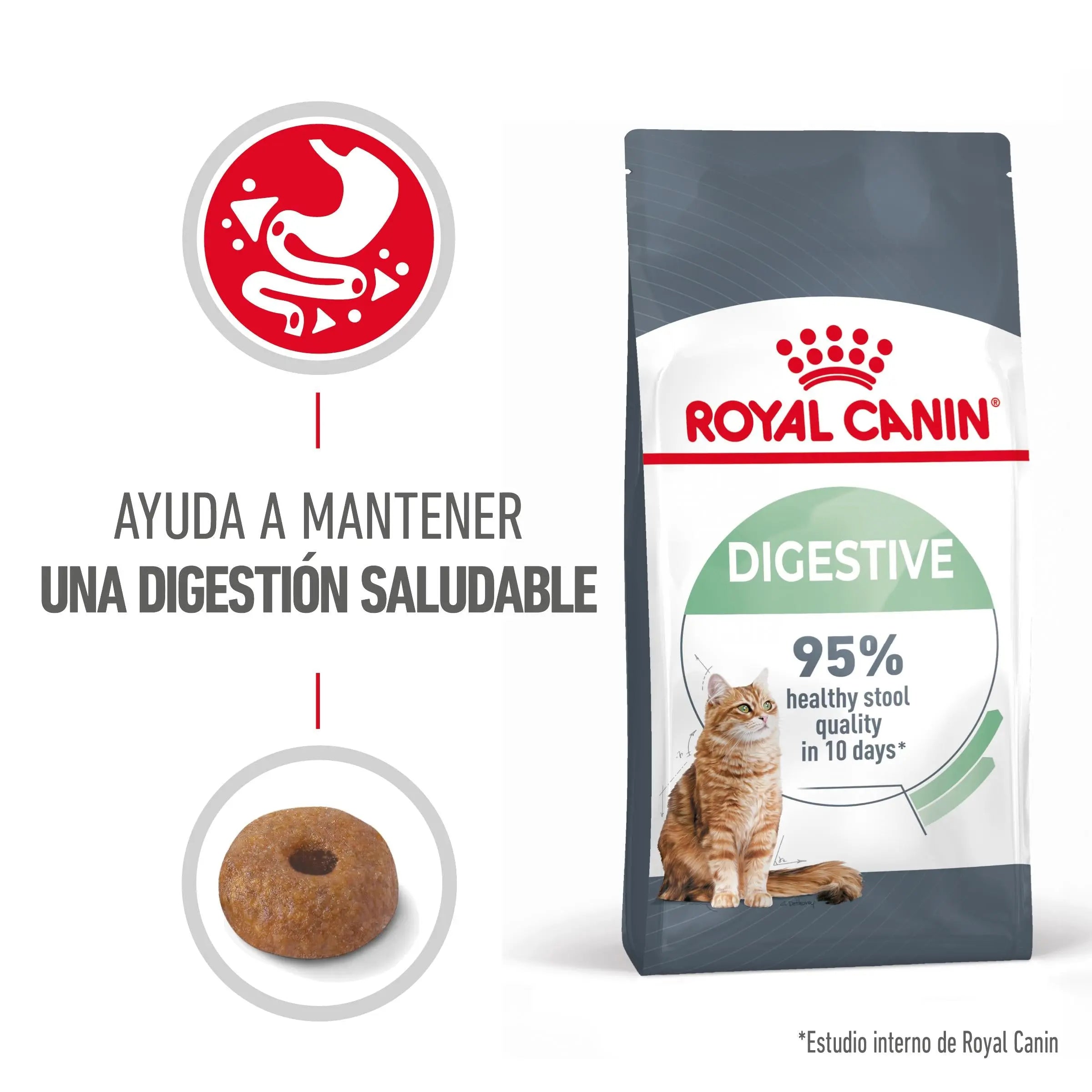 Royal Canin Digestive Care Pienso para Gatos ROYAL CANIN Mascotas-Ávila