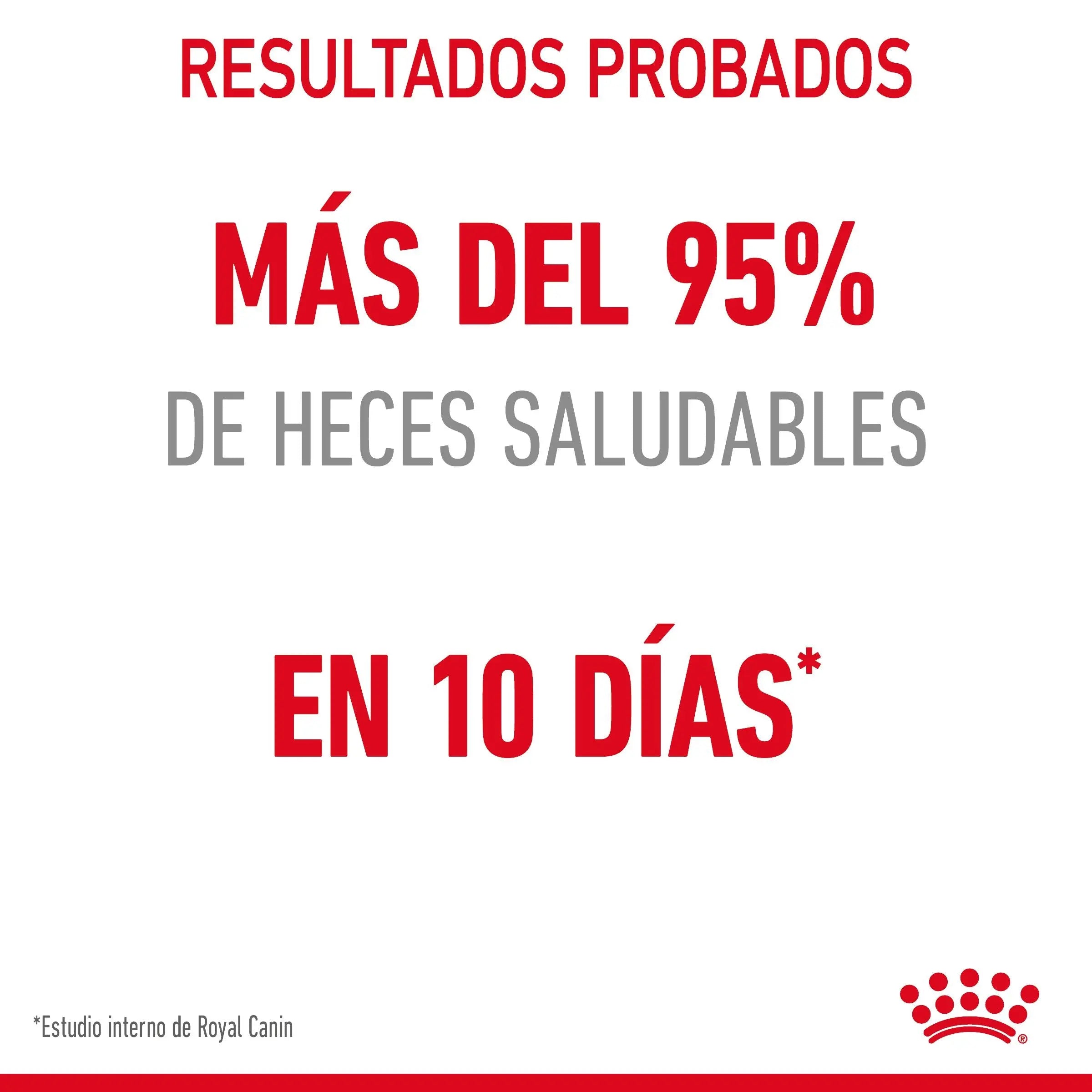 Royal Canin Digestive Care Pienso para Gatos ROYAL CANIN Mascotas-Ávila