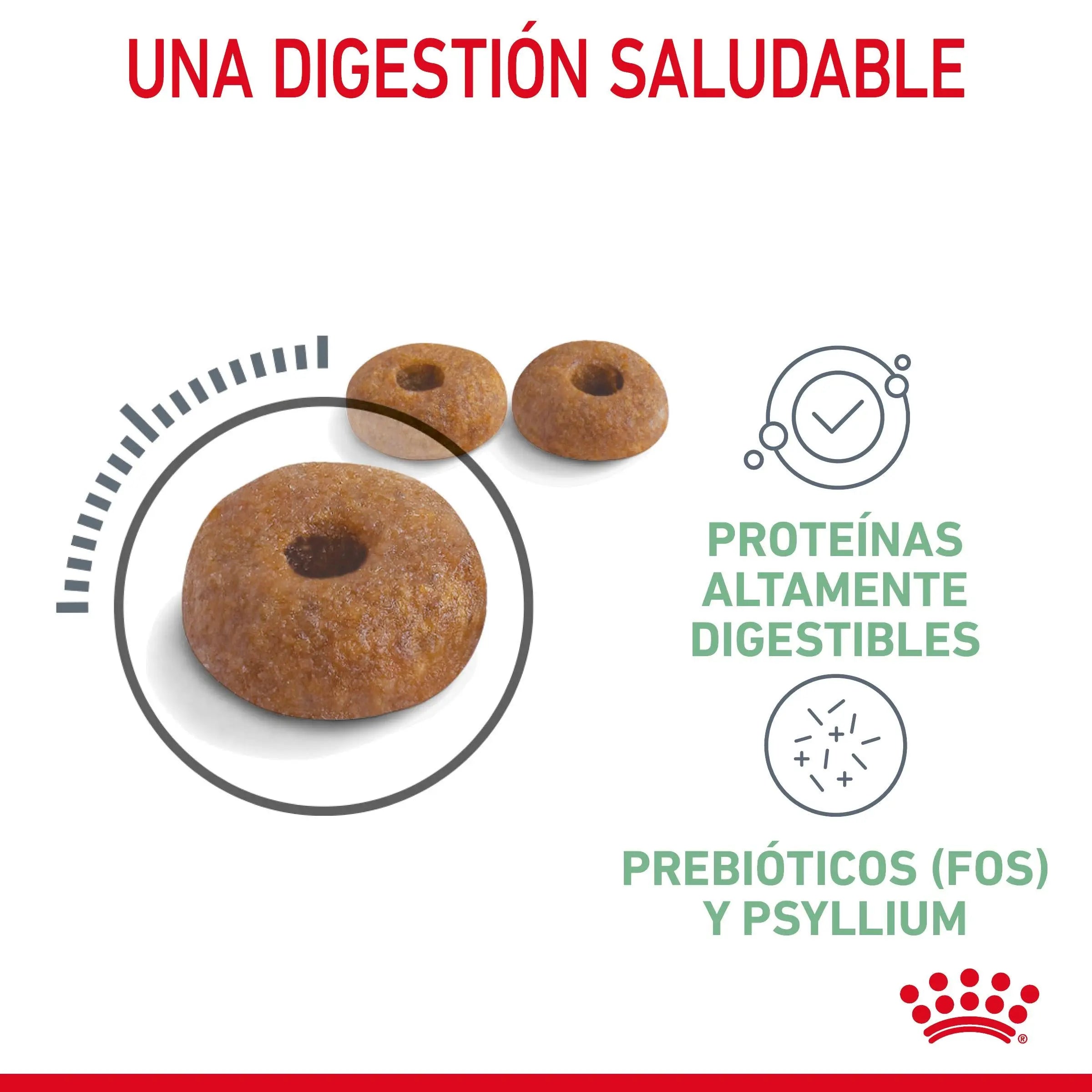 Royal Canin Digestive Care Pienso para Gatos ROYAL CANIN Mascotas-Ávila