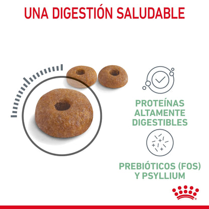 Royal Canin Digestive Care Pienso para Gatos ROYAL CANIN Mascotas-Ávila