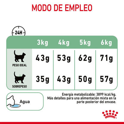Royal Canin Digestive Care Pienso para Gatos ROYAL CANIN Mascotas-Ávila