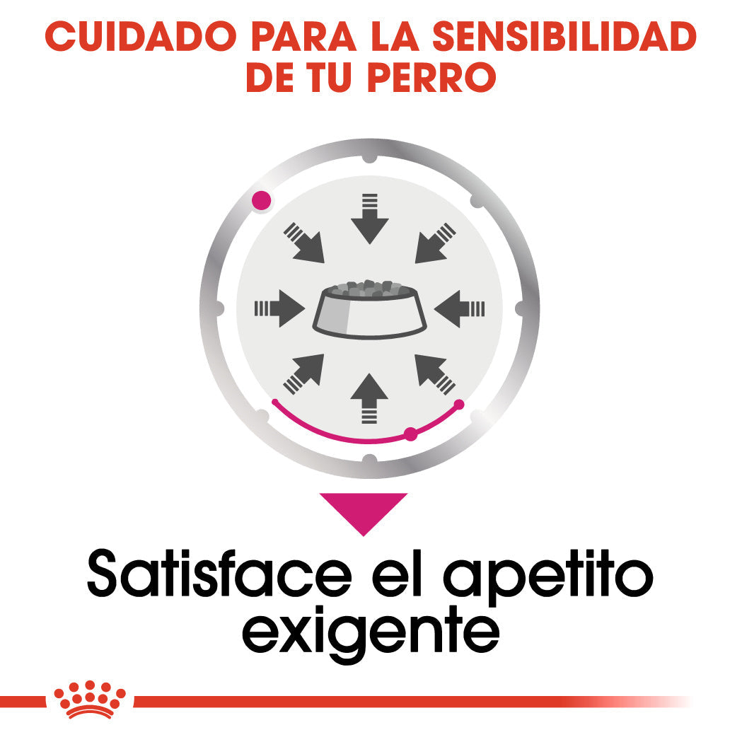Royal Canin Exigent Care Paté 85 g Alimento Húmedo para Perros ROYAL CANIN Mascotas-Ávila