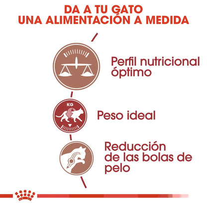 Royal Canin Fit 32 Pienso Seco para Gatos Adultos ROYAL CANIN Mascotas-Ávila