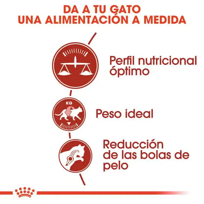 Royal Canin Fit 32 Pienso Seco para Gatos Adultos ROYAL CANIN Mascotas-Ávila