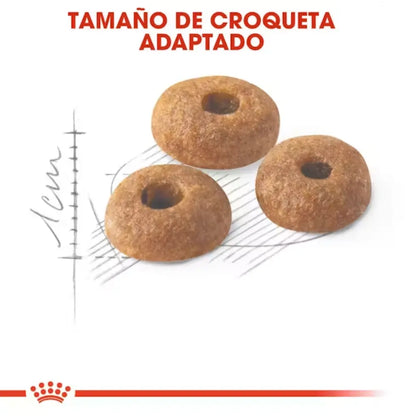Royal Canin Fit 32 Pienso Seco para Gatos Adultos ROYAL CANIN Mascotas-Ávila