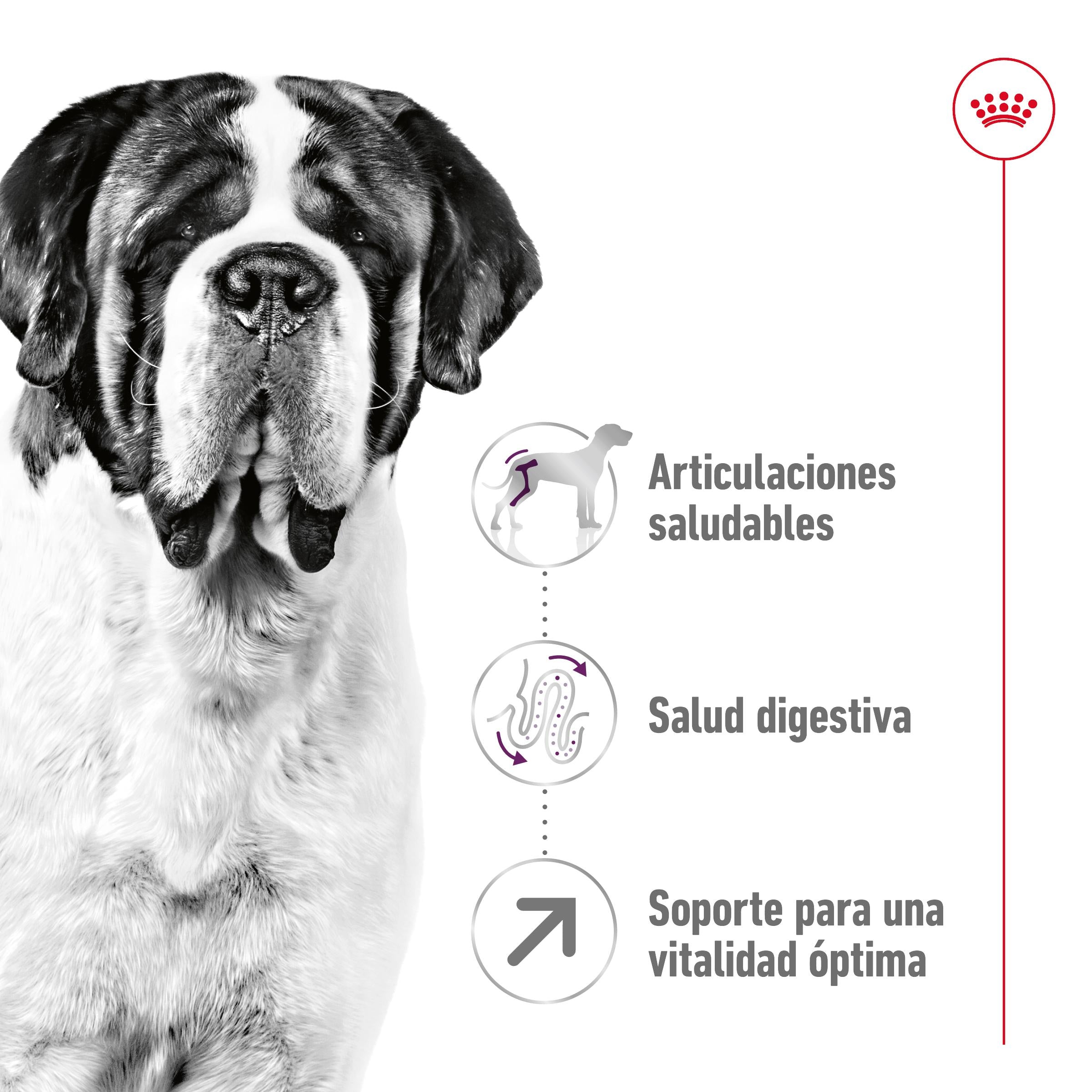 Royal Canin Giant Adult 15 kg Pienso para Perros ROYAL CANIN Mascotas-Ávila