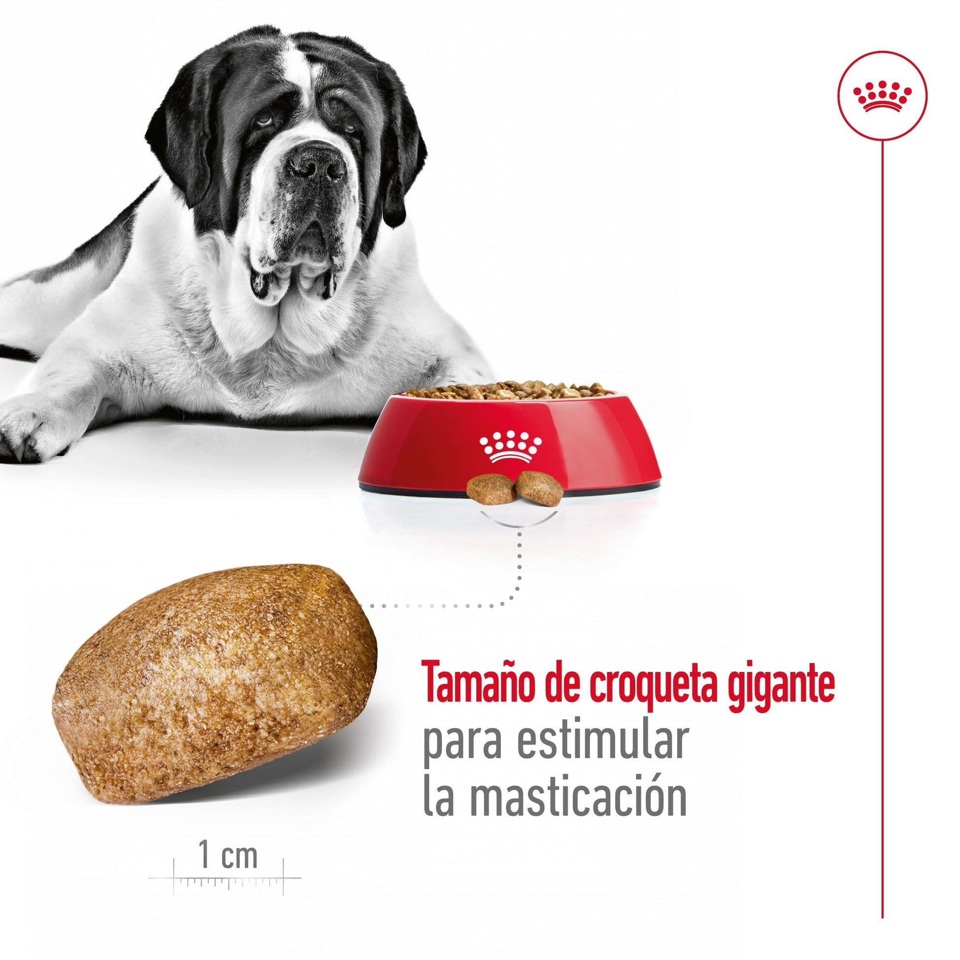 Royal Canin Giant Adult 15 kg Pienso para Perros ROYAL CANIN Mascotas-Ávila