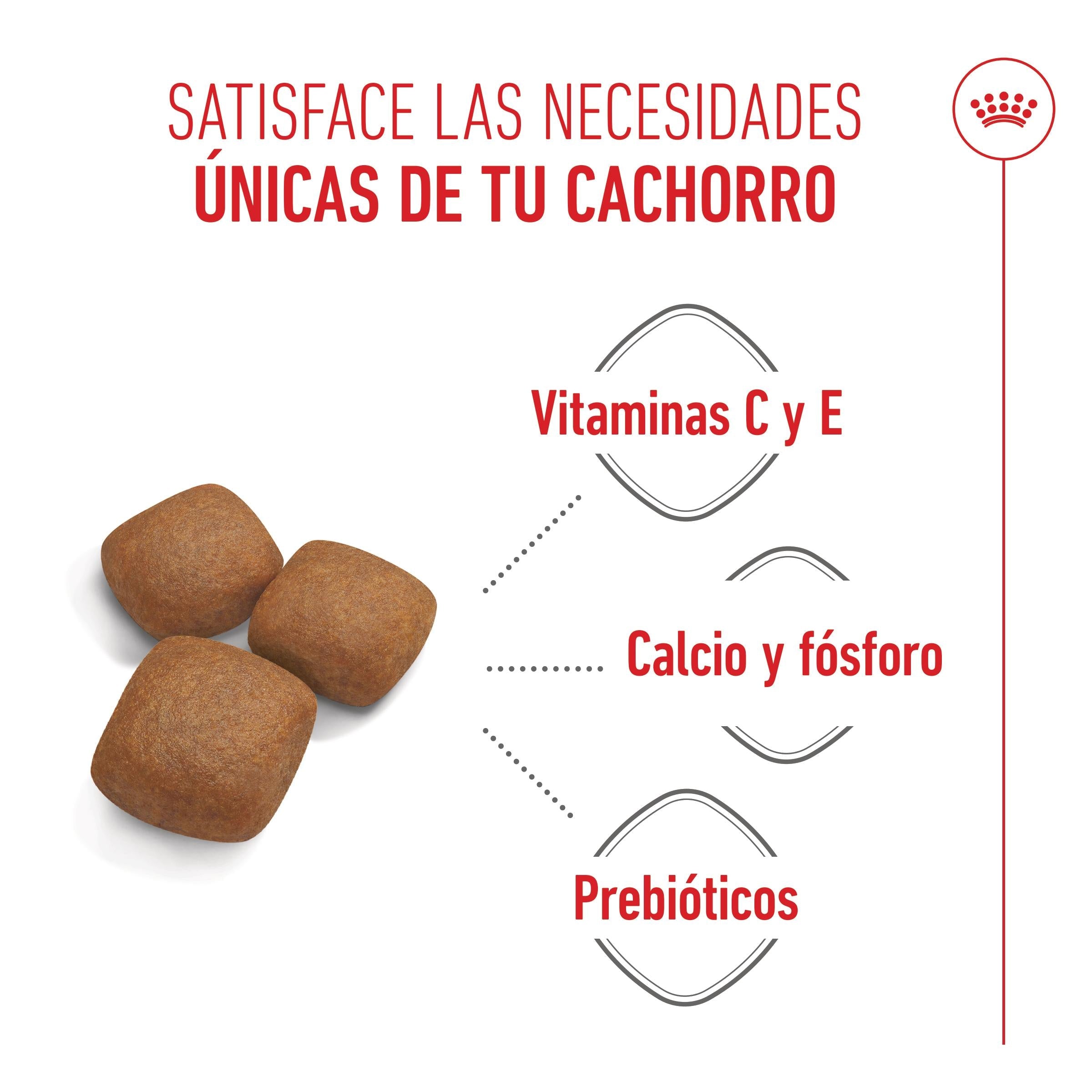 Royal Canin Giant Junior Pienso para Cachorros de Raza Grande ROYAL CANIN Mascotas-Ávila