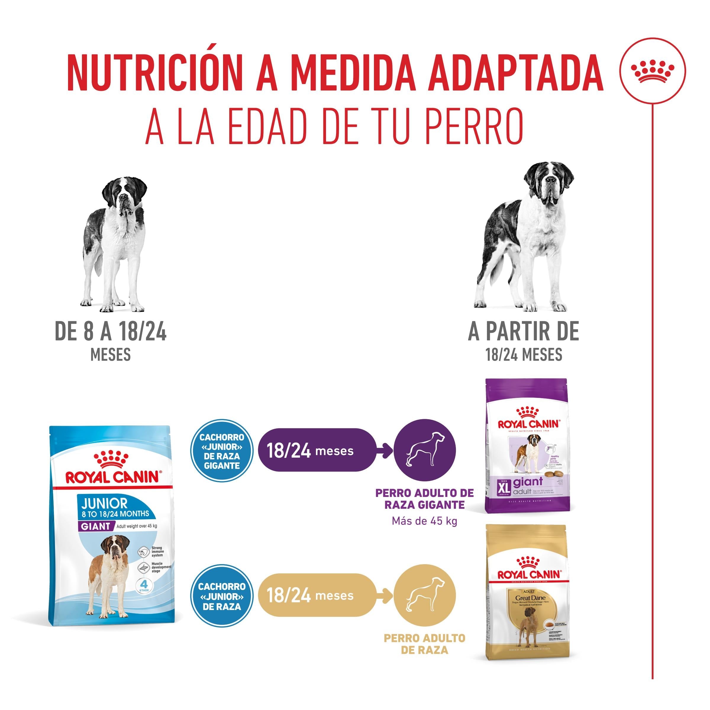 Royal Canin Giant Junior Pienso para Cachorros de Raza Grande ROYAL CANIN Mascotas-Ávila