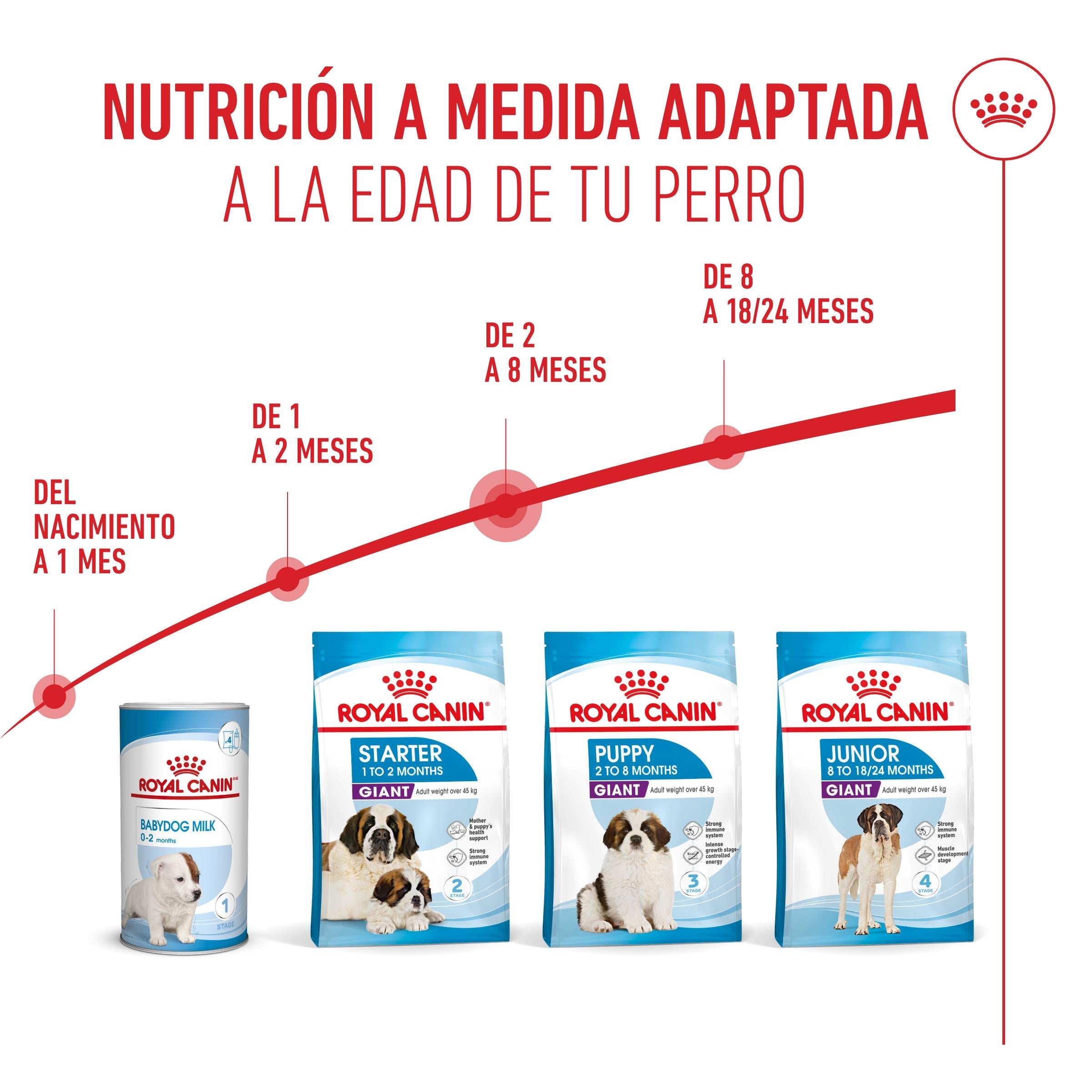 Royal Canin Giant Puppy Pienso para Cachorros de Raza Grande ROYAL CANIN Mascotas-Ávila