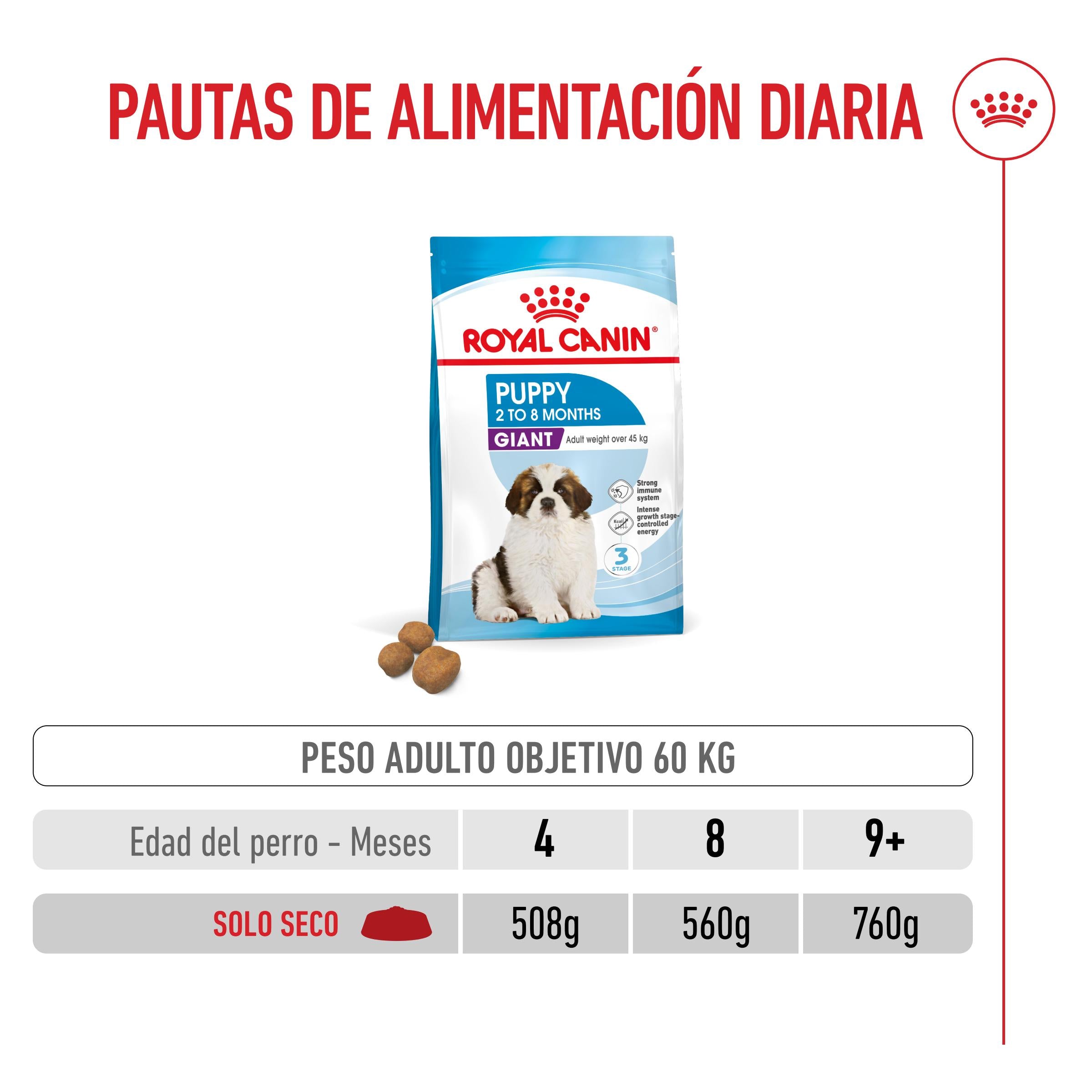 Royal Canin Giant Puppy Pienso para Cachorros de Raza Grande ROYAL CANIN Mascotas-Ávila