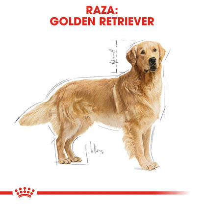 Royal Canin Golden Retriever Pienso para Perros de Raza ROYAL CANIN Mascotas-Ávila