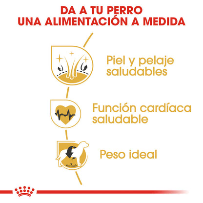 Royal Canin Golden Retriever Pienso para Perros de Raza ROYAL CANIN Mascotas-Ávila