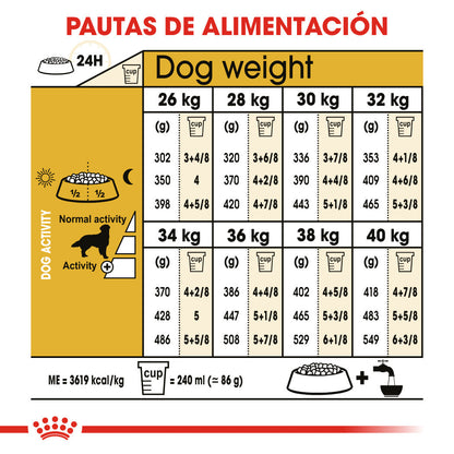 Royal Canin Golden Retriever Pienso para Perros de Raza ROYAL CANIN Mascotas-Ávila