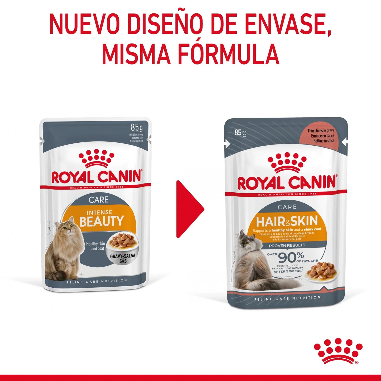 Royal Canin Hair & Skin Care Finas Láminas en Salsa 85 g Húmedo para Gatos ROYAL CANIN Mascotas-Ávila