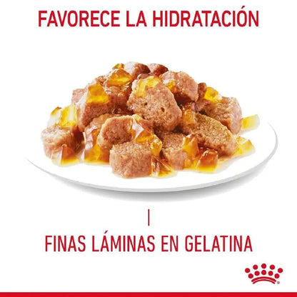Royal Canin Hair & Skin Finas Láminas en Gelatina 85 g Comida Húmeda para Gatos ROYAL CANIN Mascotas-Ávila