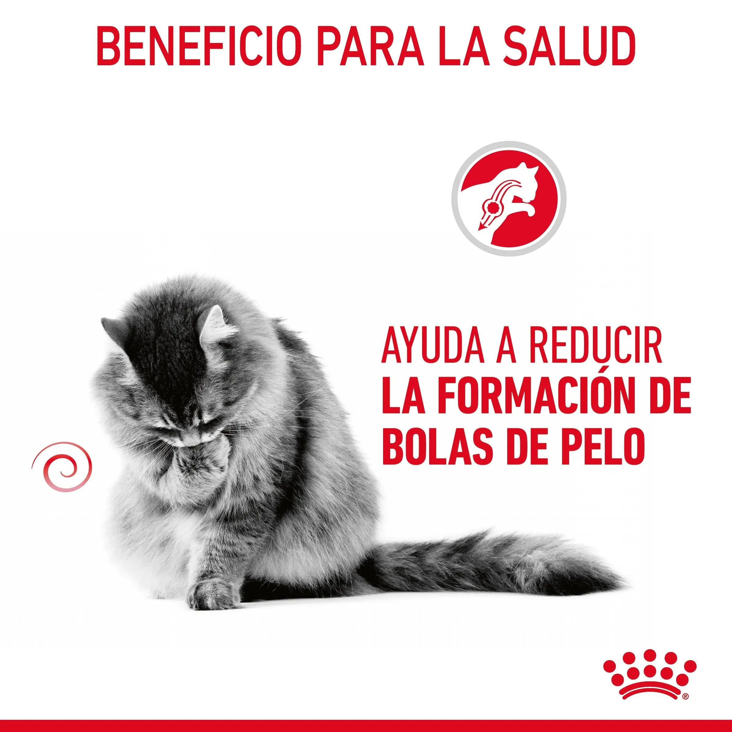 Royal Canin Hairball Care Finas Láminas en Salsa 85 g Húmedo para Gatos ROYAL CANIN Mascotas-Ávila