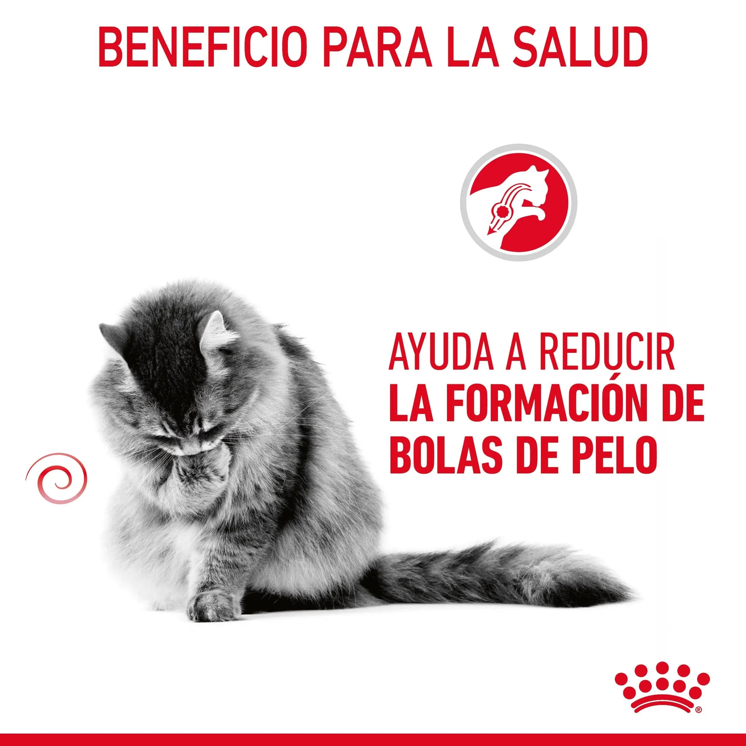 Royal Canin Hairball Care Pienso para Gatos Anti Bolas de Pelo ROYAL CANIN Mascotas-Ávila