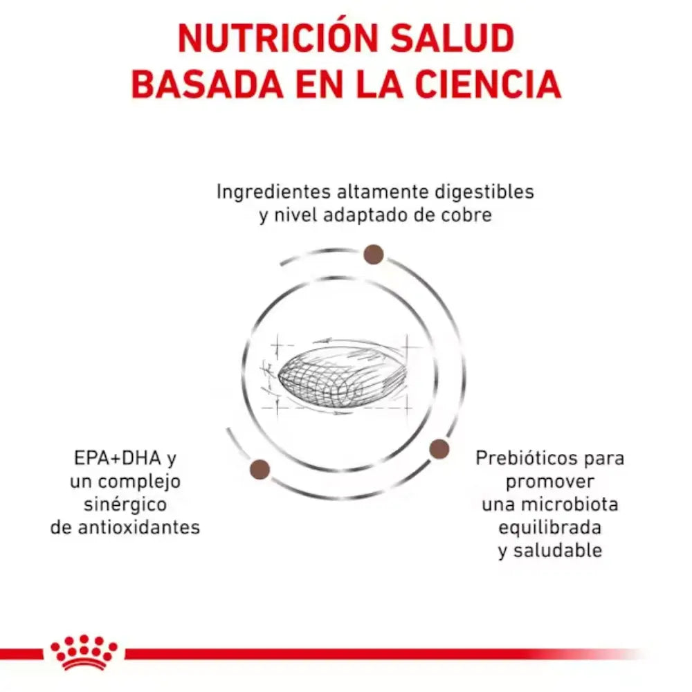 Royal Canin Hepatic Hf16 ROYAL CANIN Mascotas-Ávila