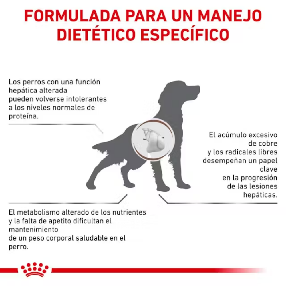 Royal Canin Hepatic Hf16 ROYAL CANIN Mascotas-Ávila