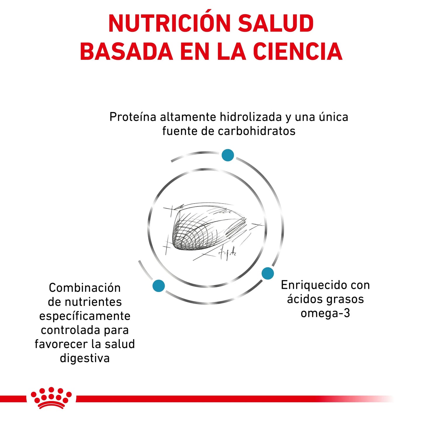 Royal Canin Hypoallergenic Dr Gatos ROYAL CANIN Mascotas-Ávila