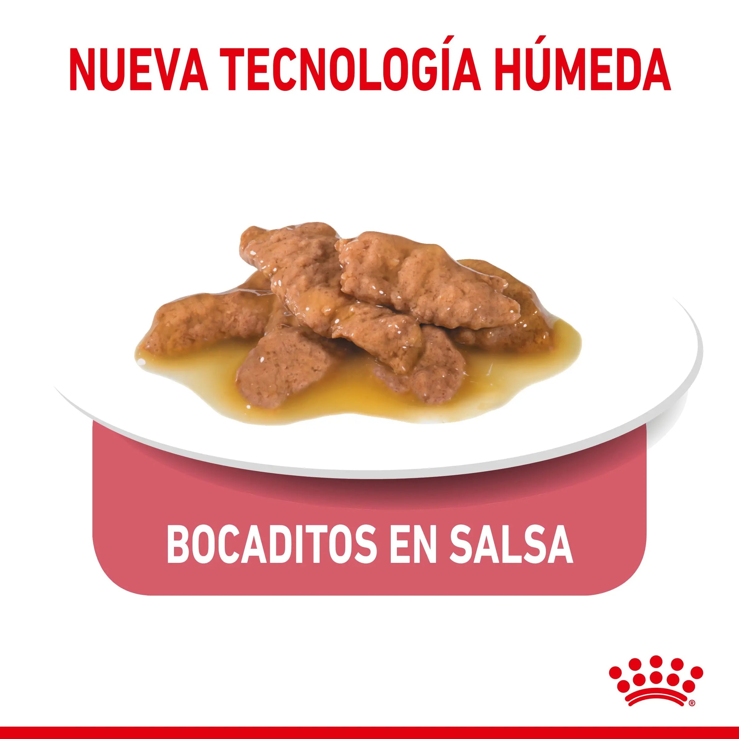 Royal Canin Indoor Sterilized 85 g Comida Húmeda en Salsa para Gatos ROYAL CANIN Mascotas-Ávila