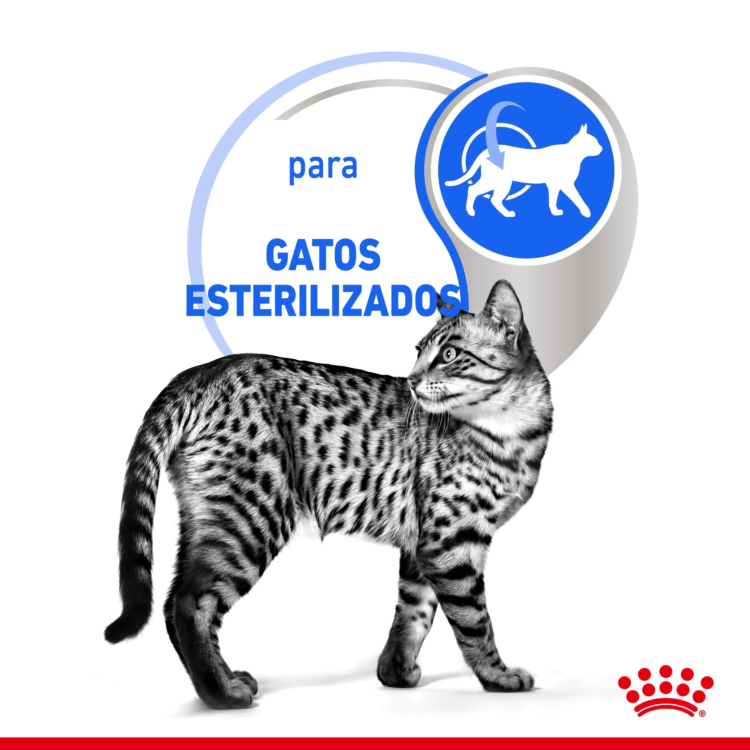 Royal Canin Indoor Sterilized 85 g Comida Húmeda en Salsa para Gatos ROYAL CANIN Mascotas-Ávila