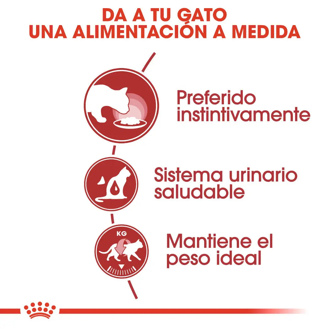 Royal Canin Instinctive Adulto 85 g Húmedo | Paté, Gelatina o Salsa ROYAL CANIN Mascotas-Ávila