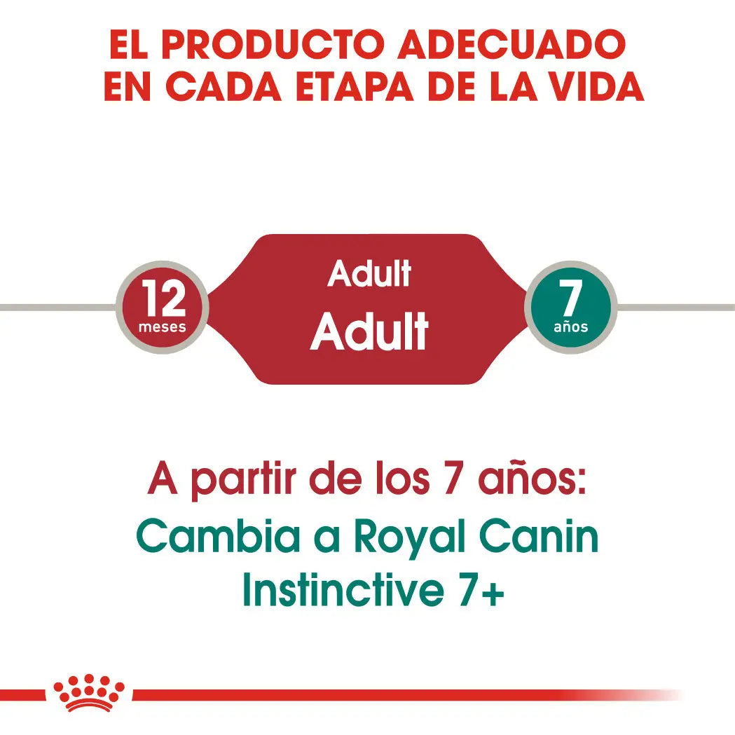 Royal Canin Instinctive Adulto 85 g Húmedo | Paté, Gelatina o Salsa ROYAL CANIN Mascotas-Ávila