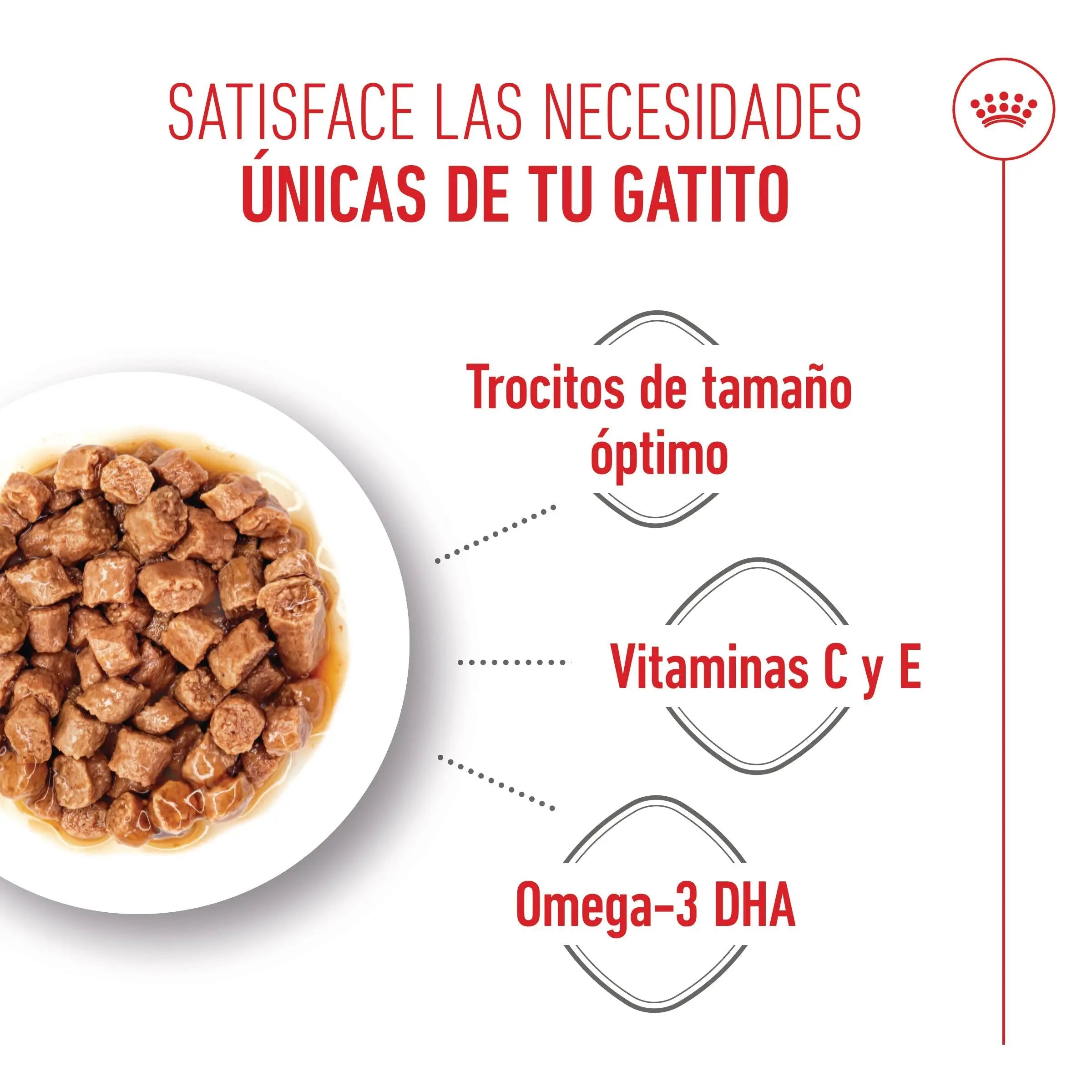 Royal Canin Kitten Húmedo 85 g para Gatos | Salsa, Gelatina o Paté ROYAL CANIN Mascotas-Ávila