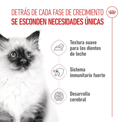 Royal Canin Kitten Húmedo 85 g para Gatos | Salsa, Gelatina o Paté ROYAL CANIN Mascotas-Ávila