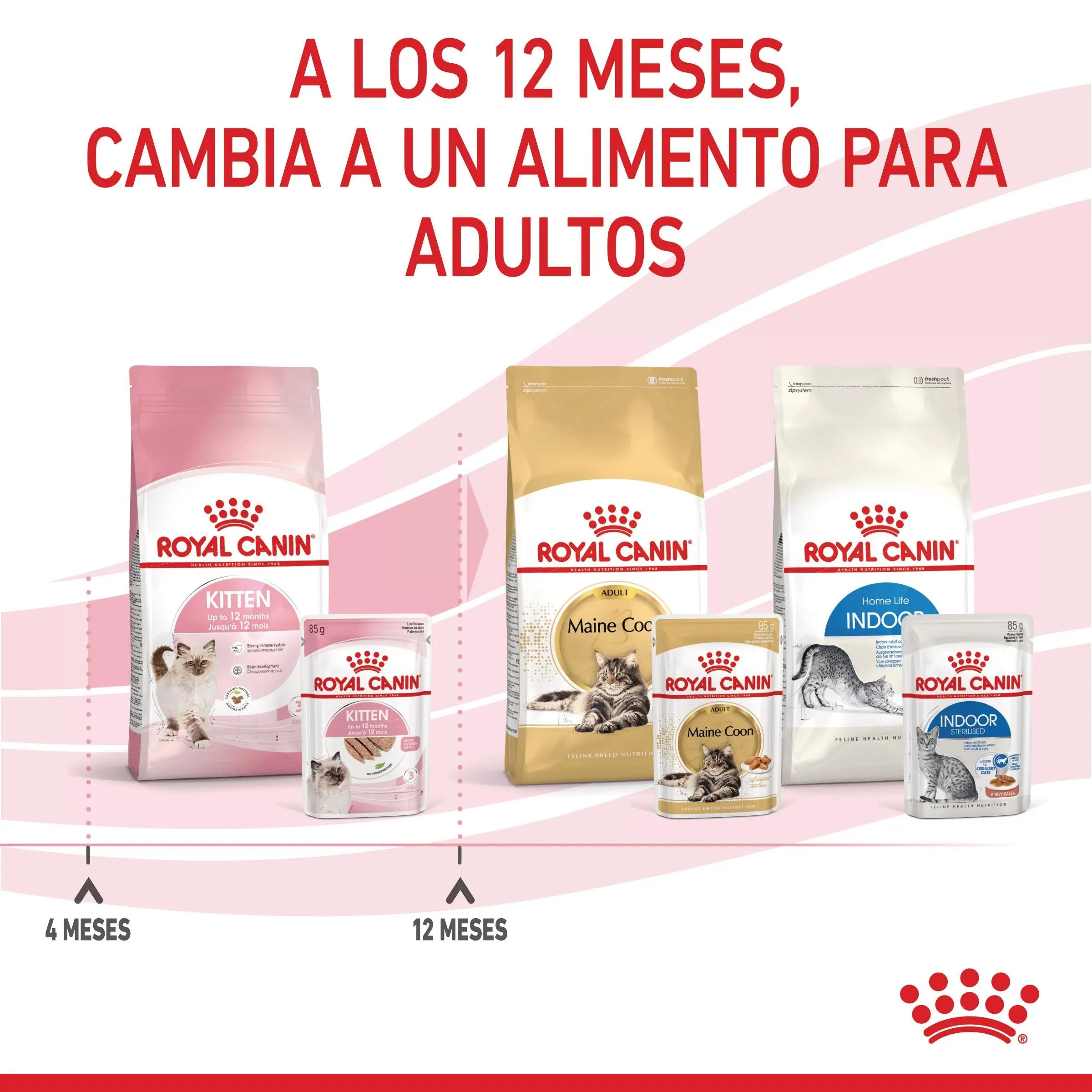 Royal Canin Kitten Húmedo 85 g para Gatos | Salsa, Gelatina o Paté ROYAL CANIN Mascotas-Ávila