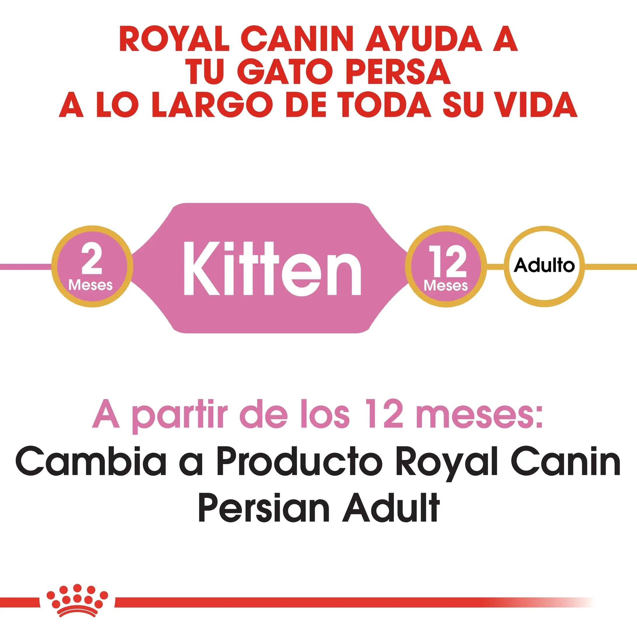 Royal Canin Kitten Persian Pienso Seco para Gatitos Persas ROYAL CANIN Mascotas-Ávila