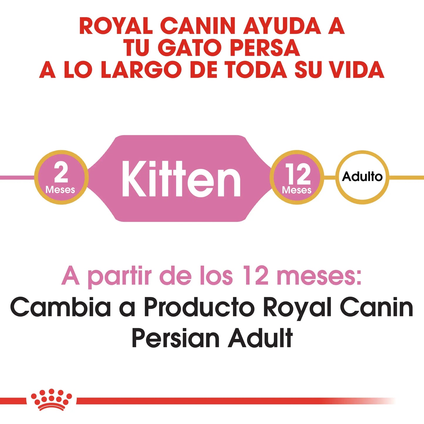 Royal Canin Kitten Persian Pienso Seco para Gatitos Persas ROYAL CANIN Mascotas-Ávila