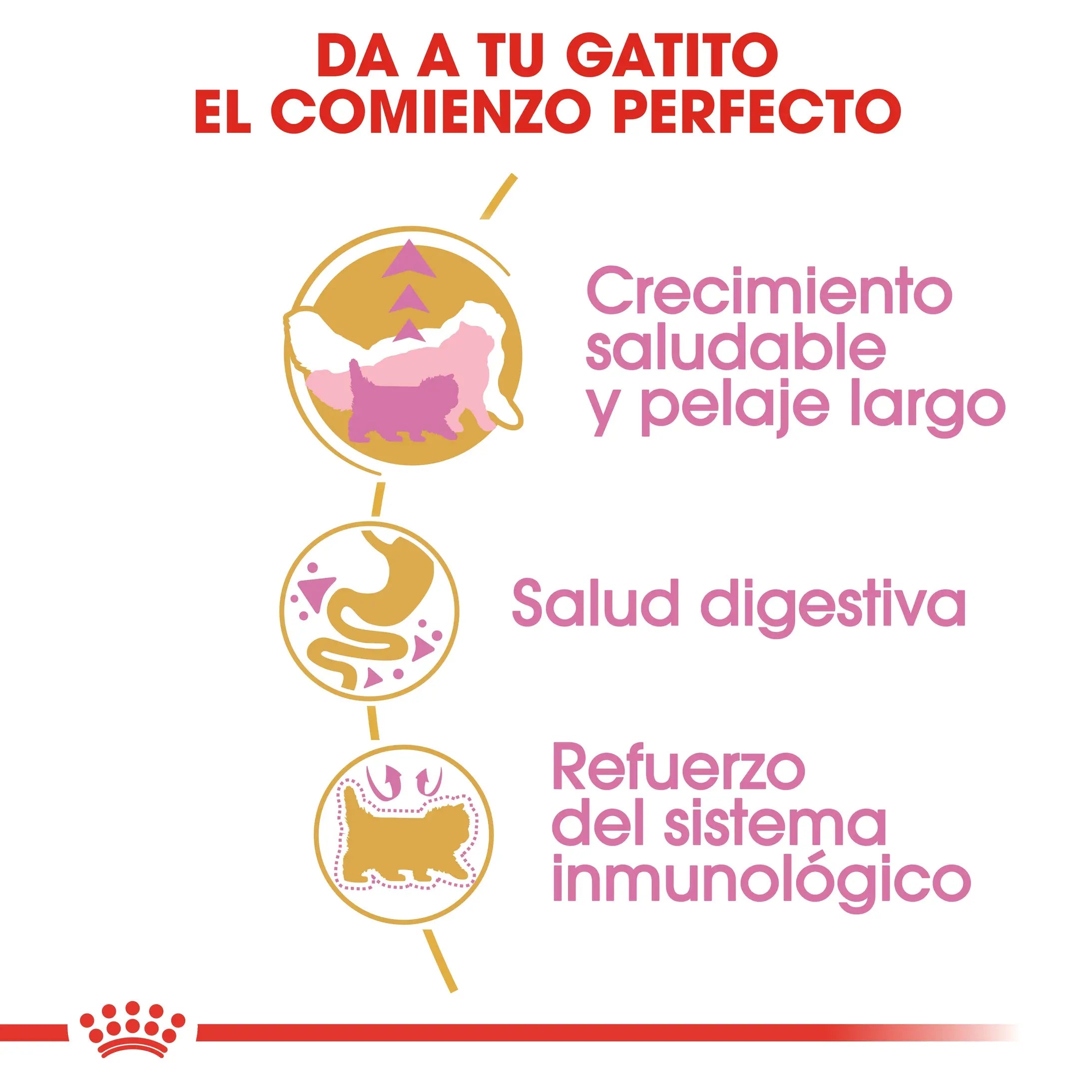 Royal Canin Kitten Persian Pienso Seco para Gatitos Persas ROYAL CANIN Mascotas-Ávila