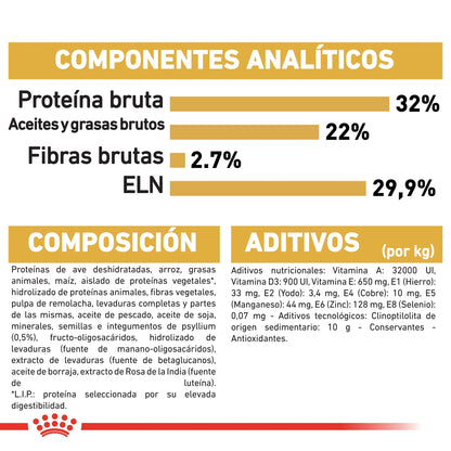 Royal Canin Kitten Persian Pienso Seco para Gatitos Persas ROYAL CANIN Mascotas-Ávila