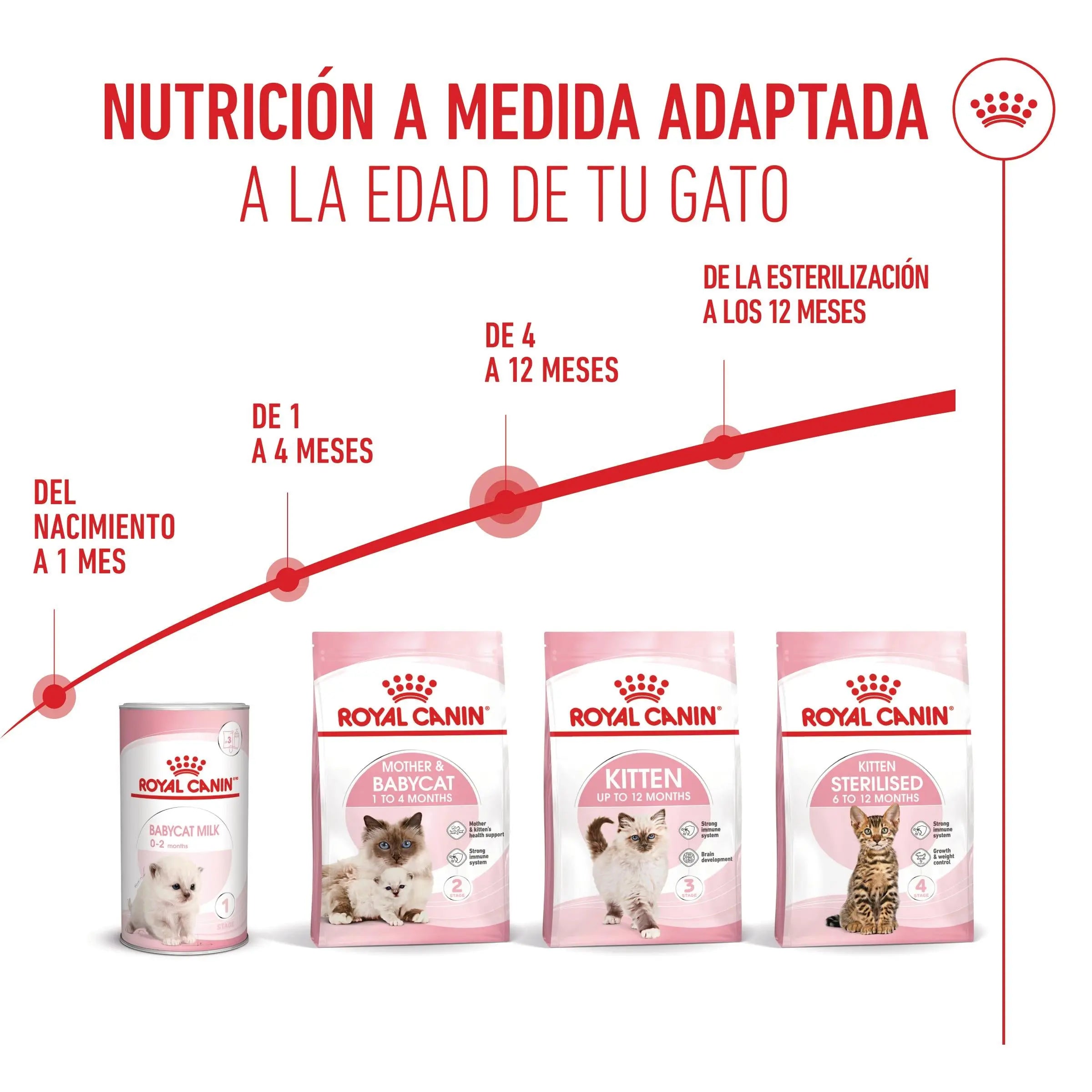Royal Canin Kitten Pienso para Gatitos ROYAL CANIN Mascotas-Ávila