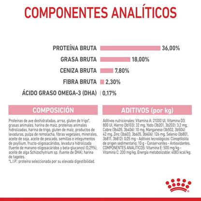 Royal Canin Kitten Pienso para Gatitos ROYAL CANIN Mascotas-Ávila
