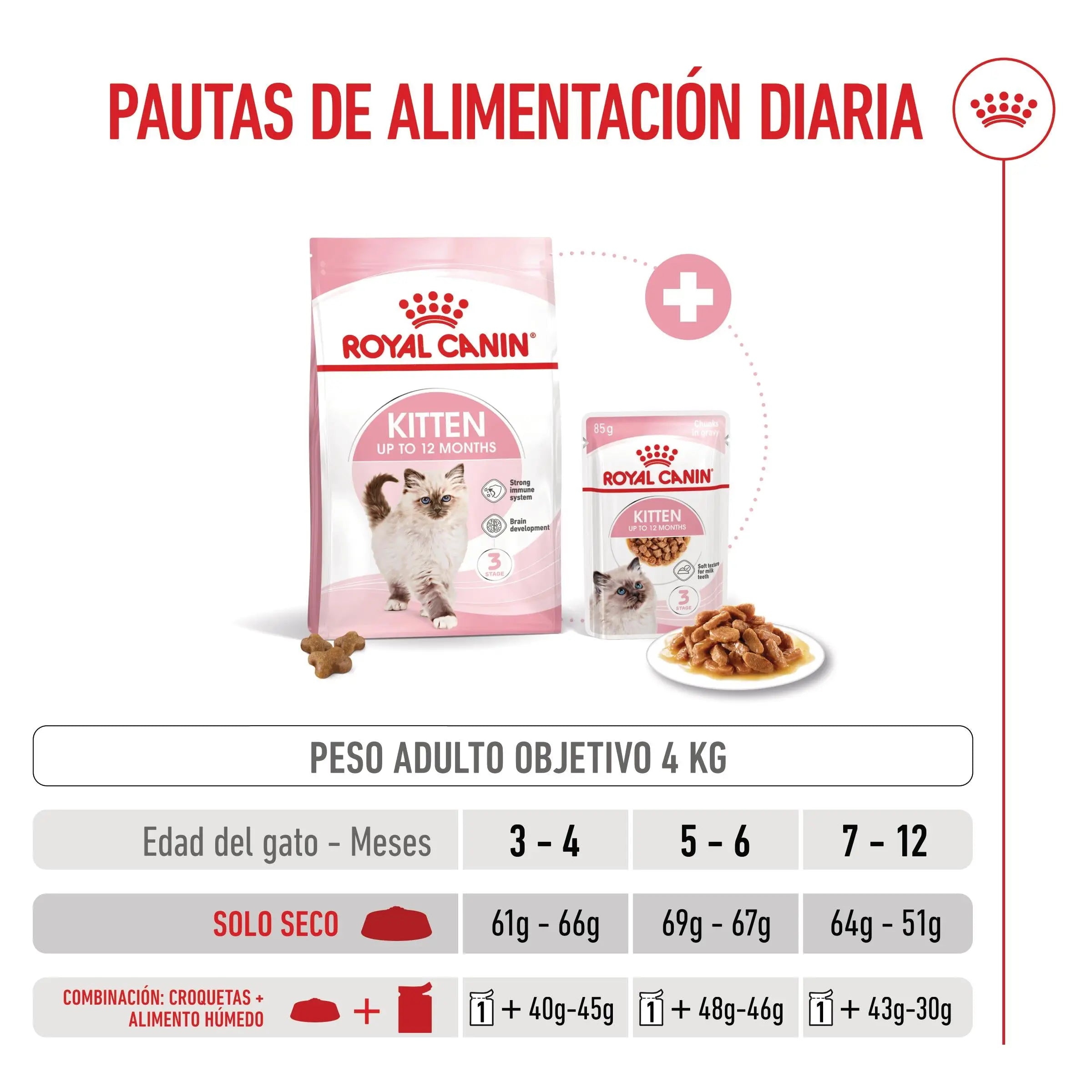 Royal Canin Kitten Pienso para Gatitos ROYAL CANIN Mascotas-Ávila