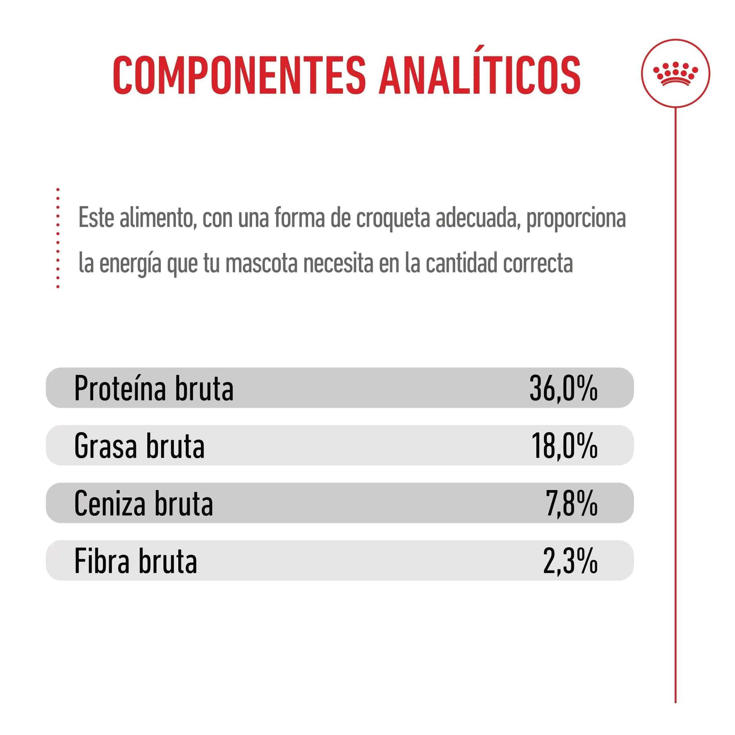 Royal Canin Kitten Pienso para Gatitos ROYAL CANIN Mascotas-Ávila