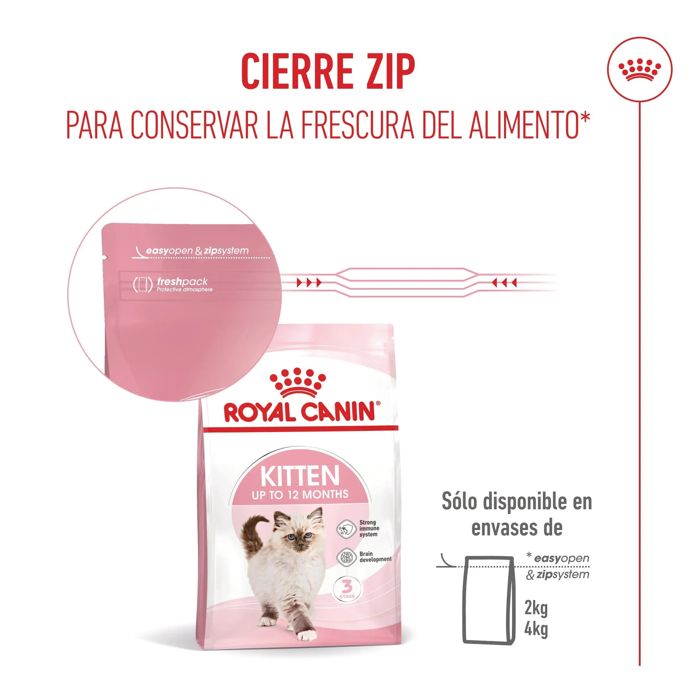 Royal Canin Kitten Pienso para Gatitos ROYAL CANIN Mascotas-Ávila