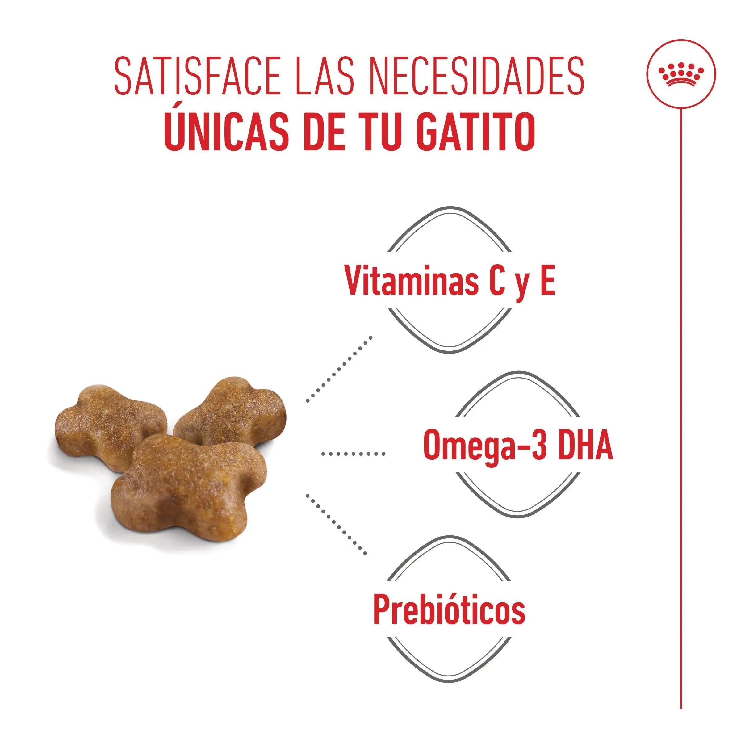 Royal Canin Kitten Pienso para Gatitos ROYAL CANIN Mascotas-Ávila