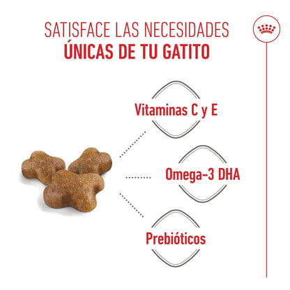 Royal Canin Kitten Pienso para Gatitos ROYAL CANIN Mascotas-Ávila