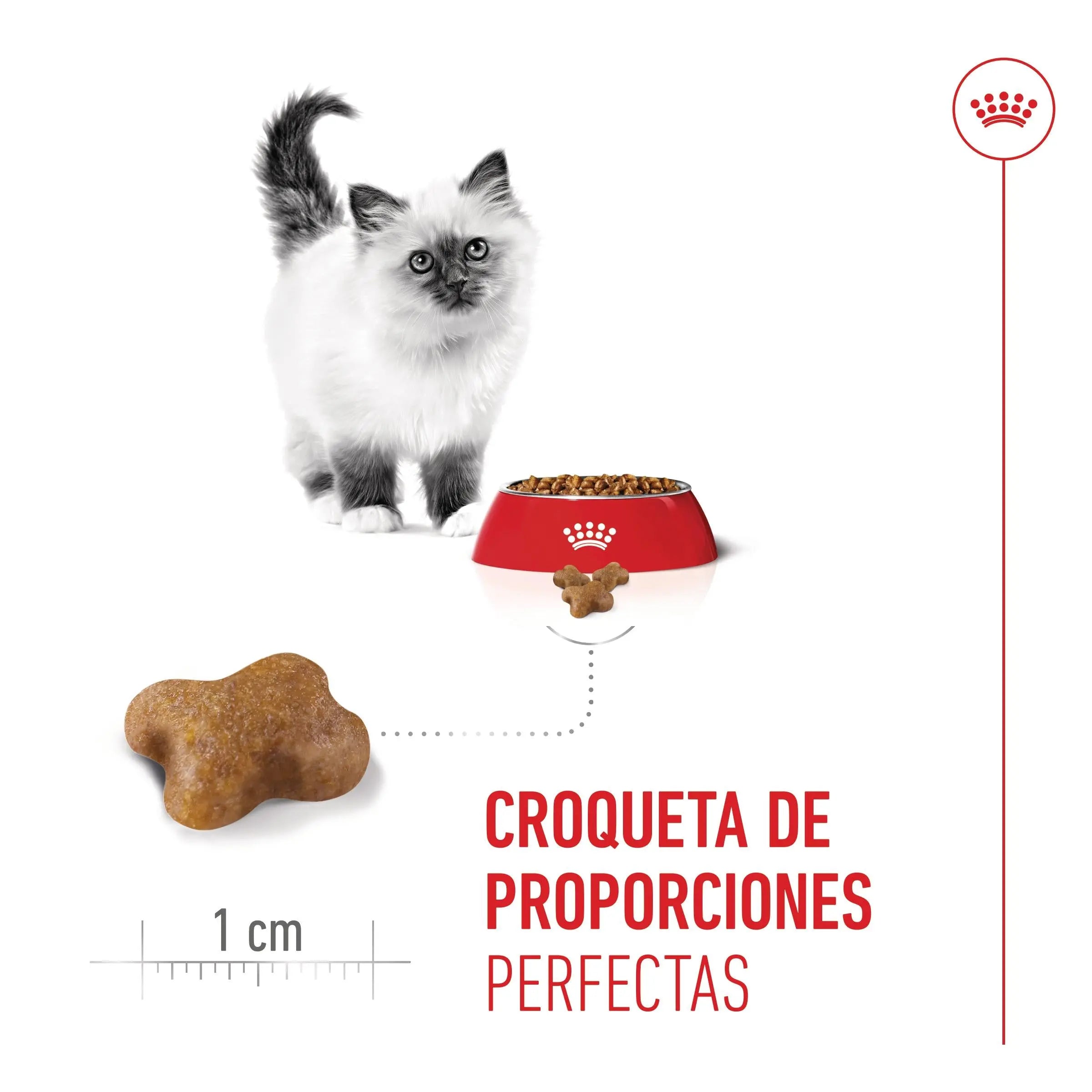 Royal Canin Kitten Pienso para Gatitos ROYAL CANIN Mascotas-Ávila