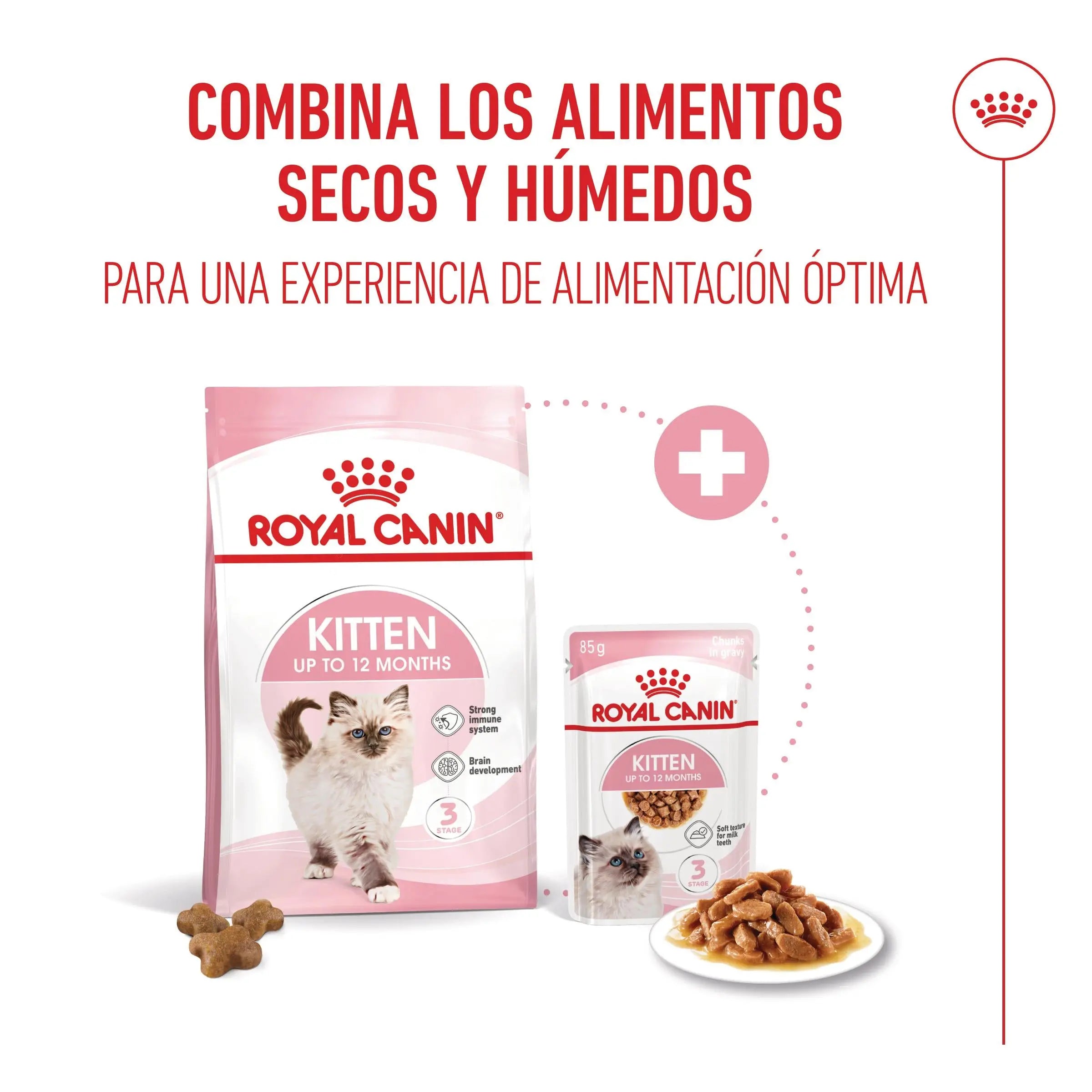 Royal Canin Kitten Pienso para Gatitos ROYAL CANIN Mascotas-Ávila