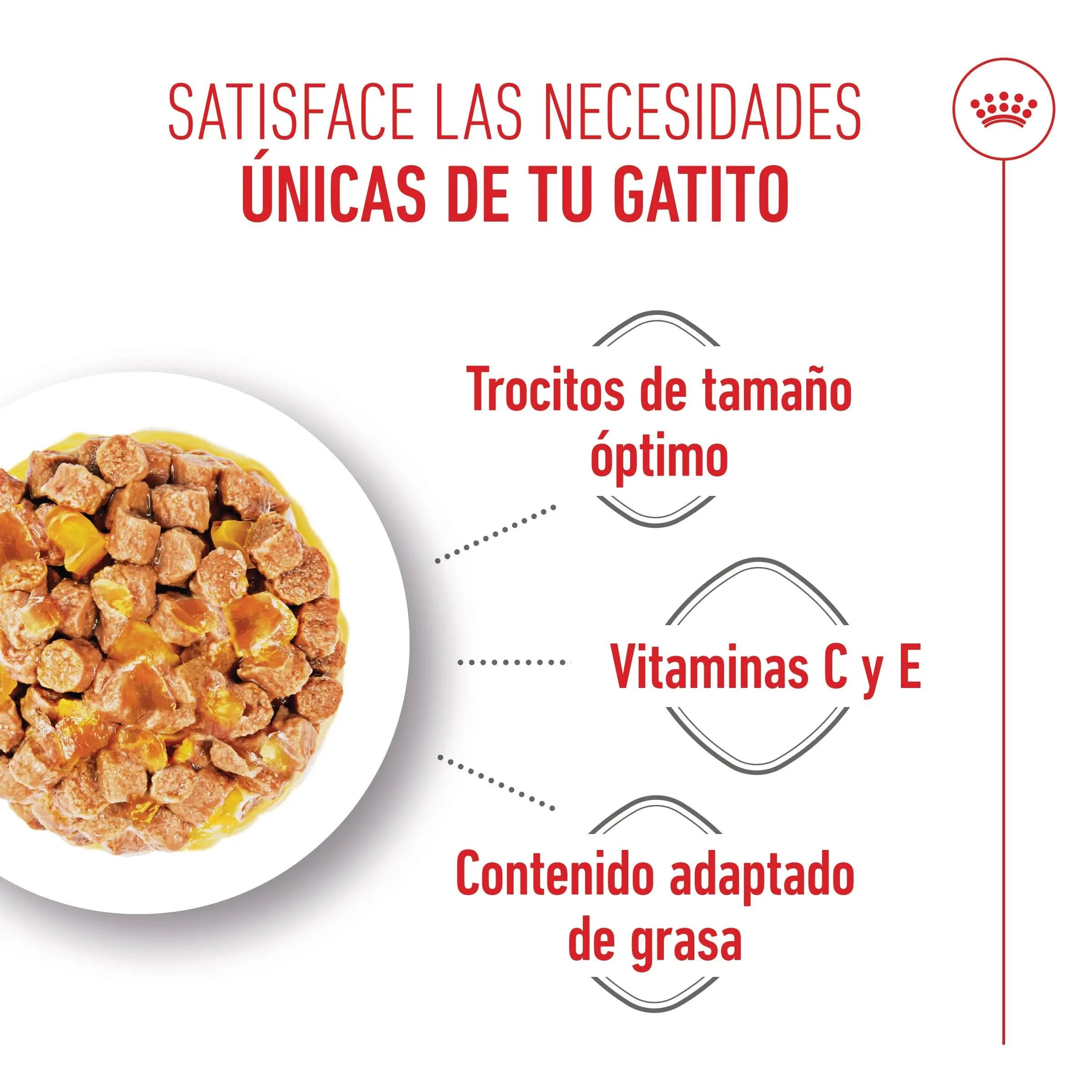 Royal Canin Kitten Sterilized Gelatina 85 g Alimento Húmedo para Gatitos ROYAL CANIN Mascotas-Ávila