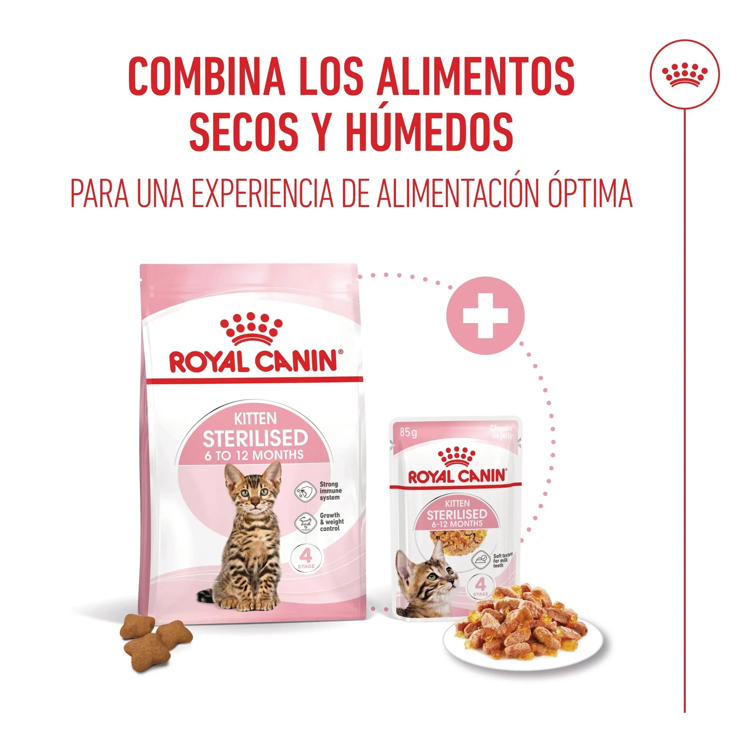Royal Canin Kitten Sterilized Gelatina 85 g Alimento Húmedo para Gatitos ROYAL CANIN Mascotas-Ávila