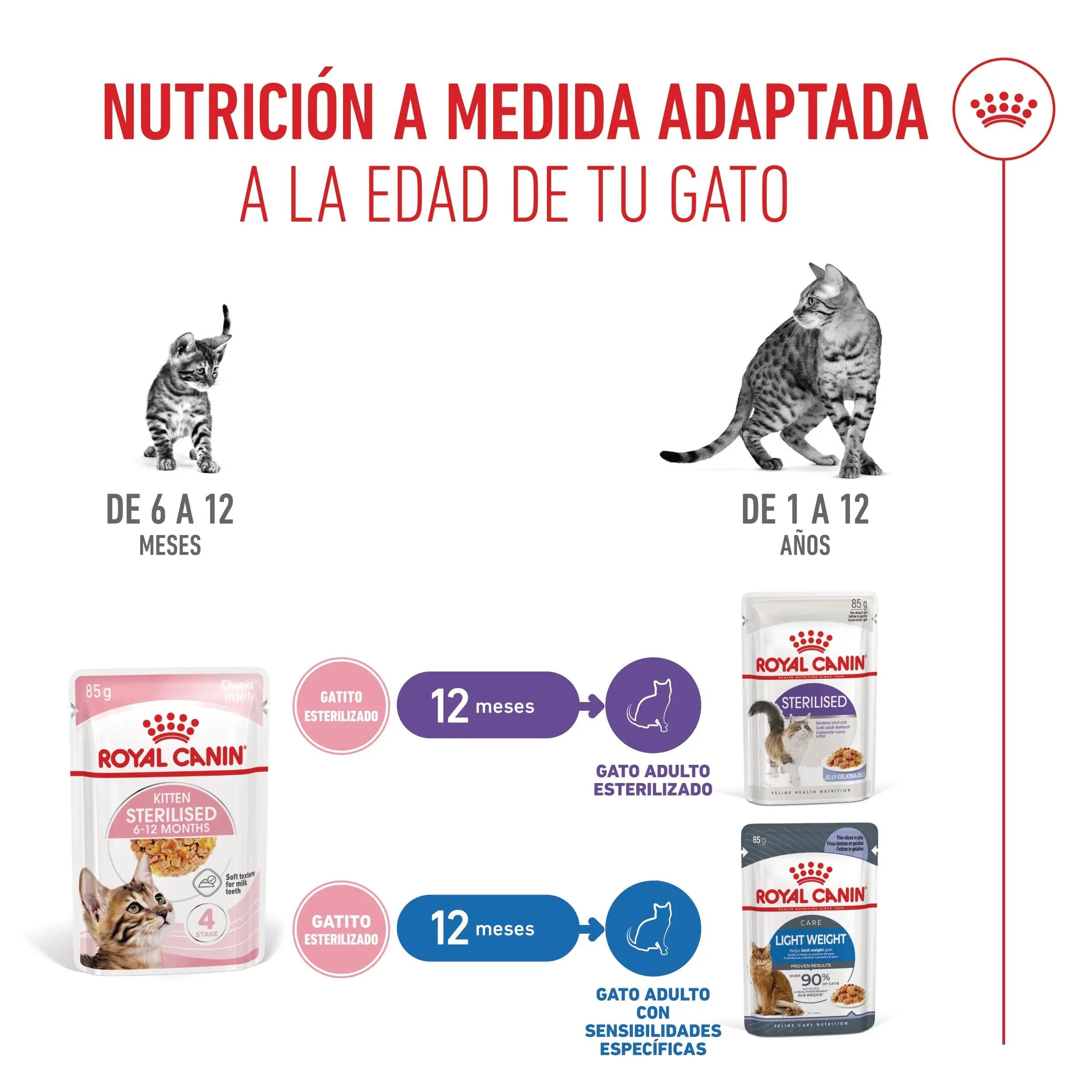 Royal Canin Kitten Sterilized Gelatina 85 g Alimento Húmedo para Gatitos ROYAL CANIN Mascotas-Ávila